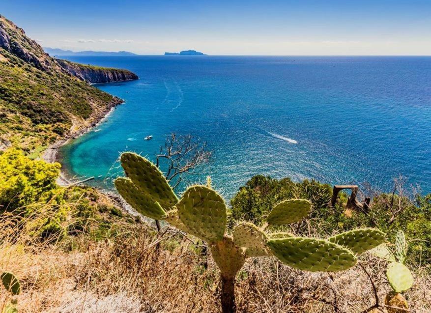 Hotel San Lorenzo Thermal Spa Forio di Ischia Esterno foto